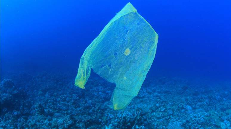 Πρόσκληση για συμμετοχή στην ηλεκτρονική διαβούλευση για ﻿ την ενσωμάτωση της Οδηγίας 2019/904/ΕΕ για τα Πλαστικά Μιας Χρήσης & τα Αλιευτικά προϊόντα