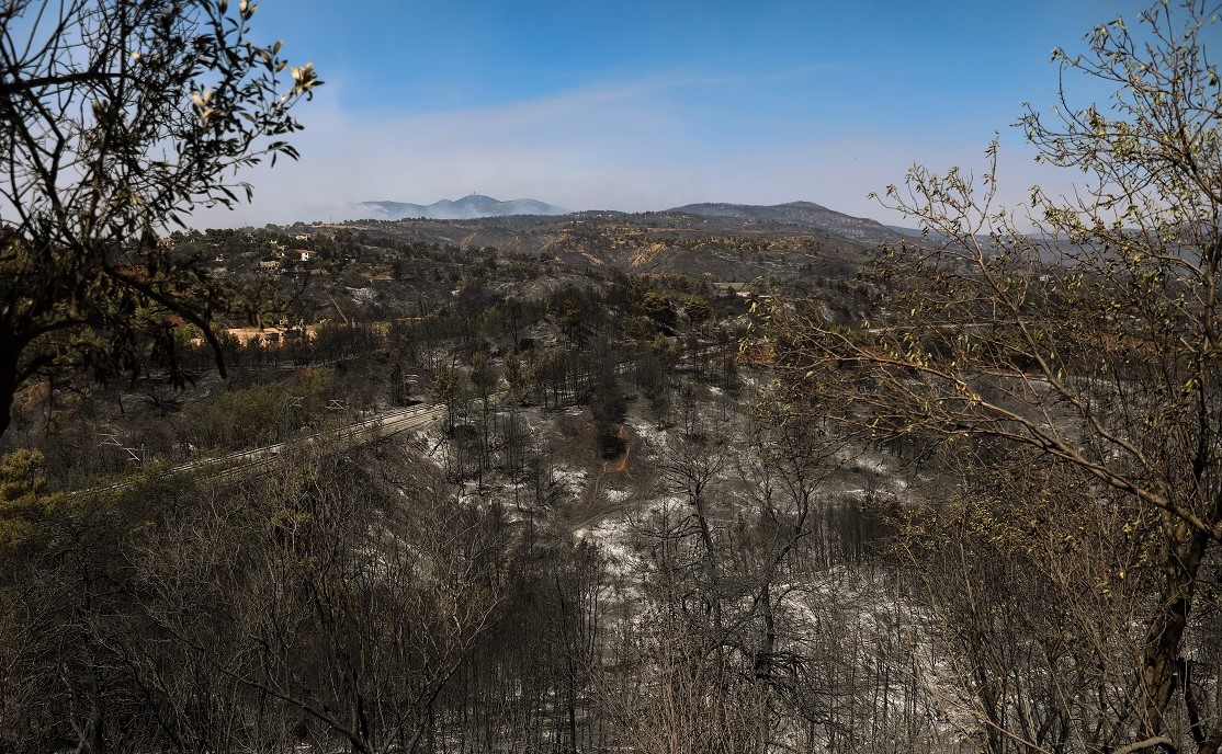 Τα πρώτα νούμερα: 150- 200 εκατ. ευρώ για αναδασώσεις, 25 εκατ. για δίκτυα