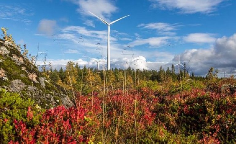 Siemens Gamesa: Προμήθεια ανεμογεννητριών σε χερσαίο αιολικό πάρκο 176 MW στη Νέα Ζηλανδία