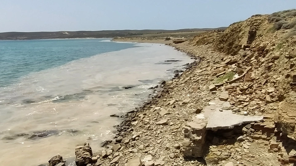 Σύσταση κοινής συντονιστικής επιτροπής των Υπουργείων Περιβάλλοντος και Ενέργειας και Ναυτιλίας και Νησιωτικής Πολιτικής για τη βλεννώδη μάζα στη Λήμνο