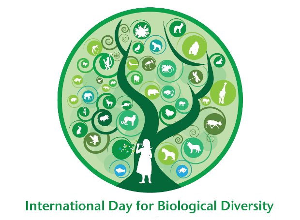 Δήλωση Σ. Φάμελλου για την Παγκόσμια Ημέρα Βιοποικιλότητας